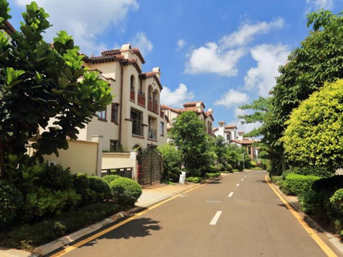 日广凤羽林温泉