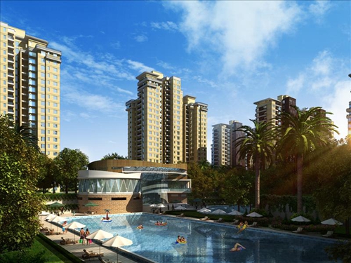中发四季花园海景房纸得买吗？