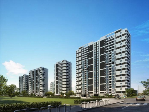 “候鸟”在喜盈门建材家具生活广场养老过冬经历！