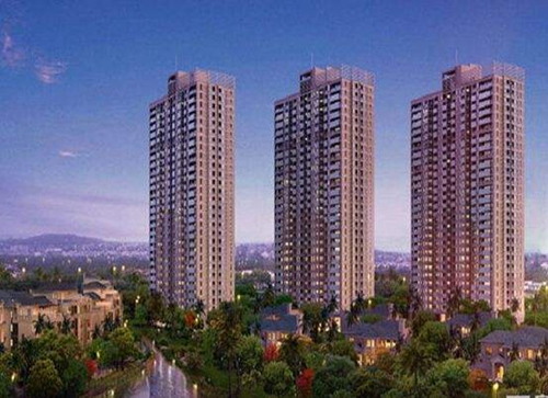 海南大溪地住宅小区能生纸吗？1