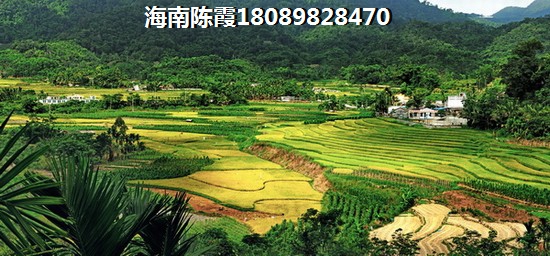 尚家虎宝宝怎么起名字好听 尚家虎宝宝怎么起名字好听