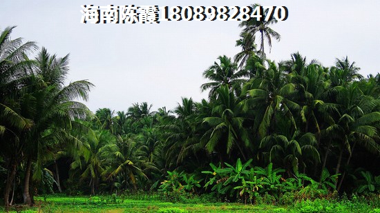 海南真的有这么好吗？